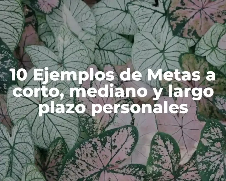 10 Ejemplos de Metas a corto, mediano y largo plazo personales