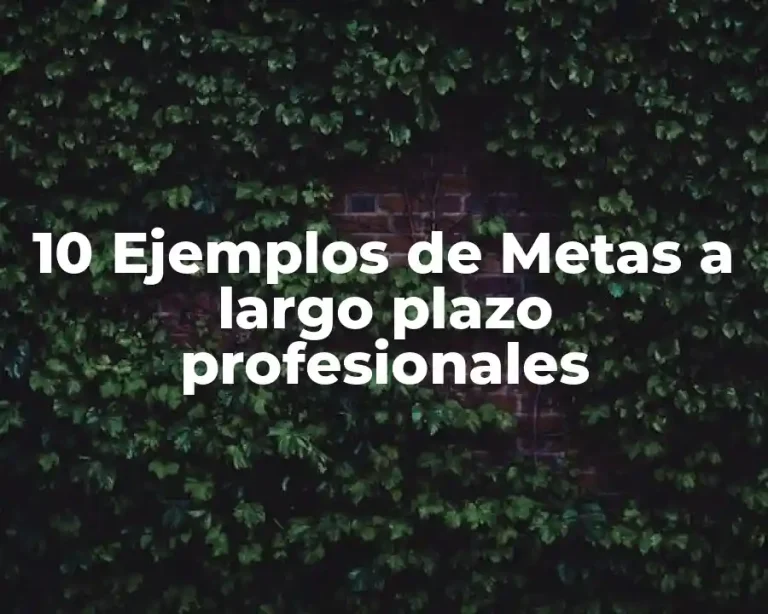 10 Ejemplos de Metas a largo plazo profesionales