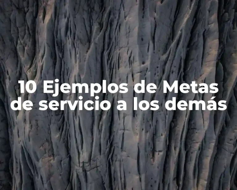 10 Ejemplos de Metas de servicio a los demás