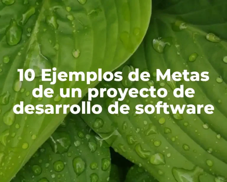 10 Ejemplos de Metas de un proyecto de desarrollo de software