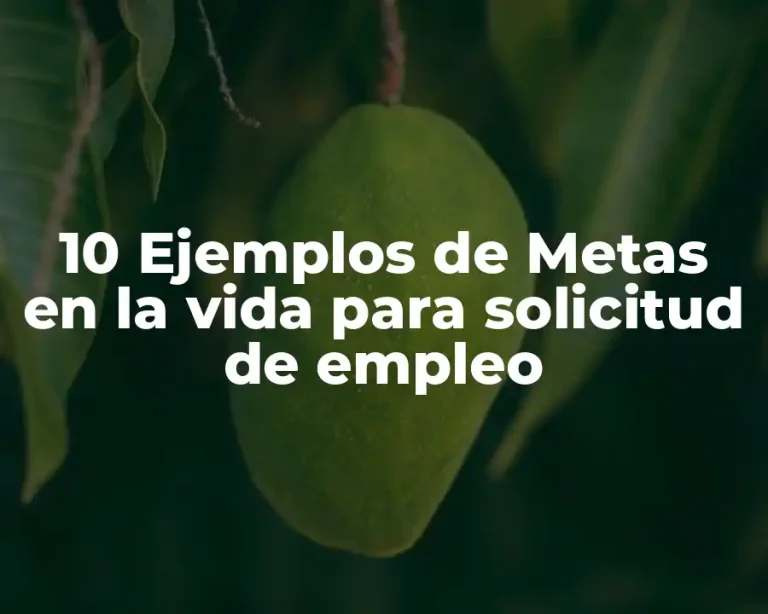 10 Ejemplos de Metas en la vida para solicitud de empleo