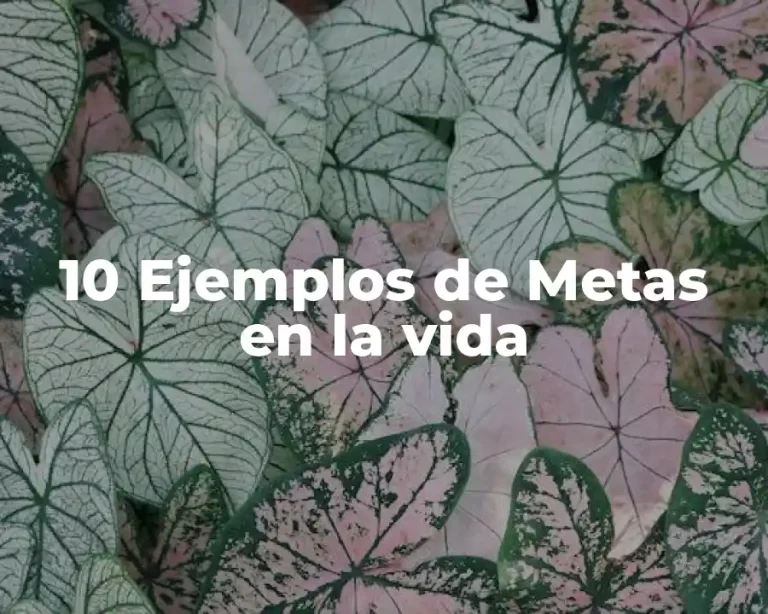 10 Ejemplos de Metas en la vida