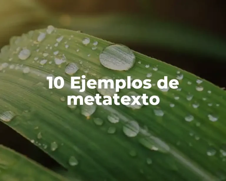 10 Ejemplos de metatexto
