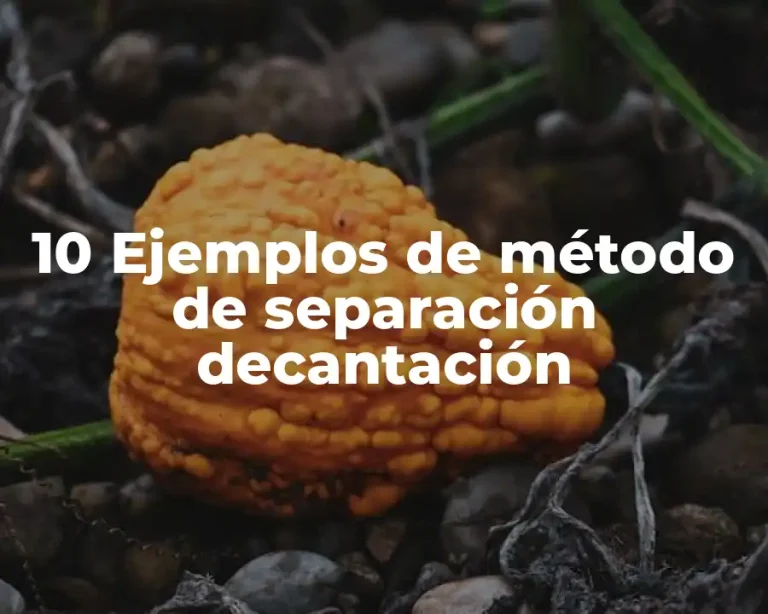 10 Ejemplos de método de separación decantación
