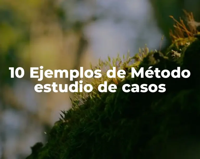 10 Ejemplos de Método estudio de casos