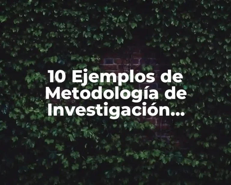 10 Ejemplos de Metodología de Investigación Cuantitativa