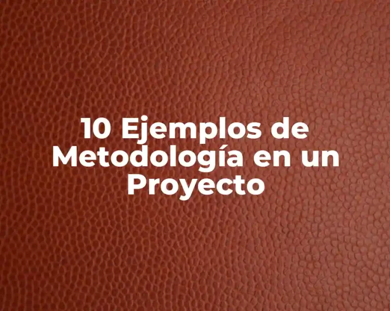 10 Ejemplos de Metodología en un Proyecto