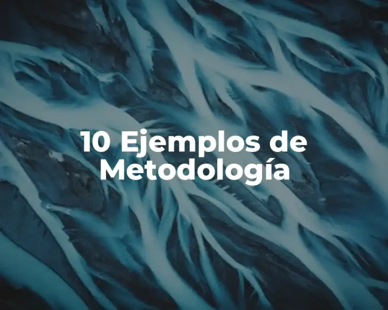 10 Ejemplos de Metodología
