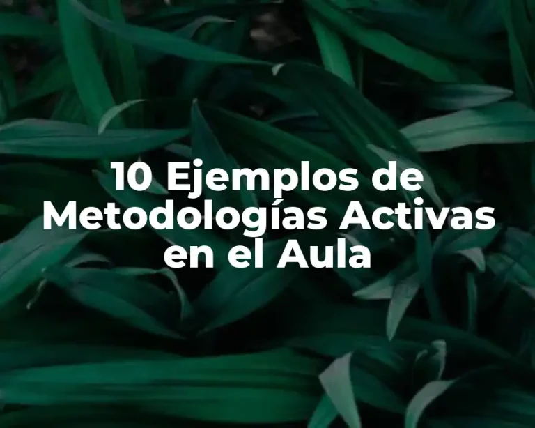 10 Ejemplos de Metodologías Activas en el Aula