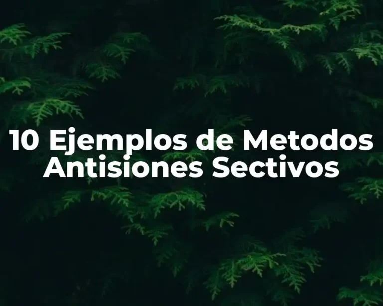 10 Ejemplos de Metodos Antisiones Sectivos