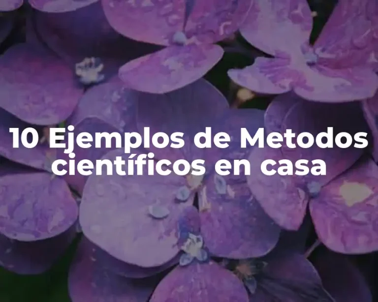 10 Ejemplos de Metodos científicos en casa