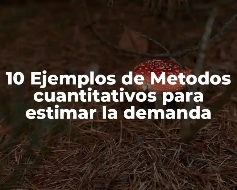 10 Ejemplos de Metodos cuantitativos para estimar la demanda