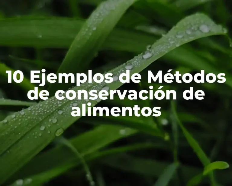 10 Ejemplos de Métodos de conservación de alimentos