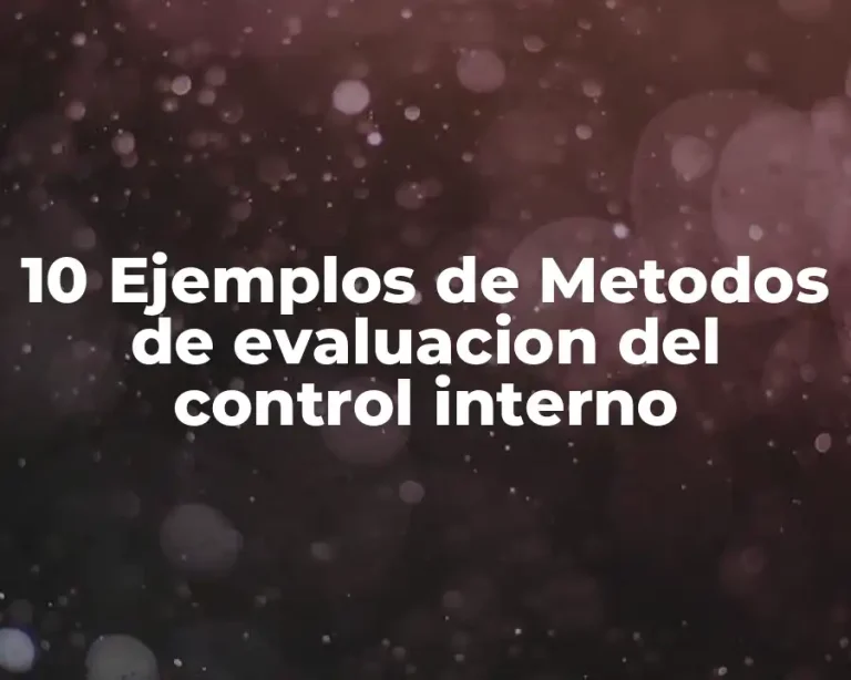 10 Ejemplos de Metodos de evaluacion del control interno