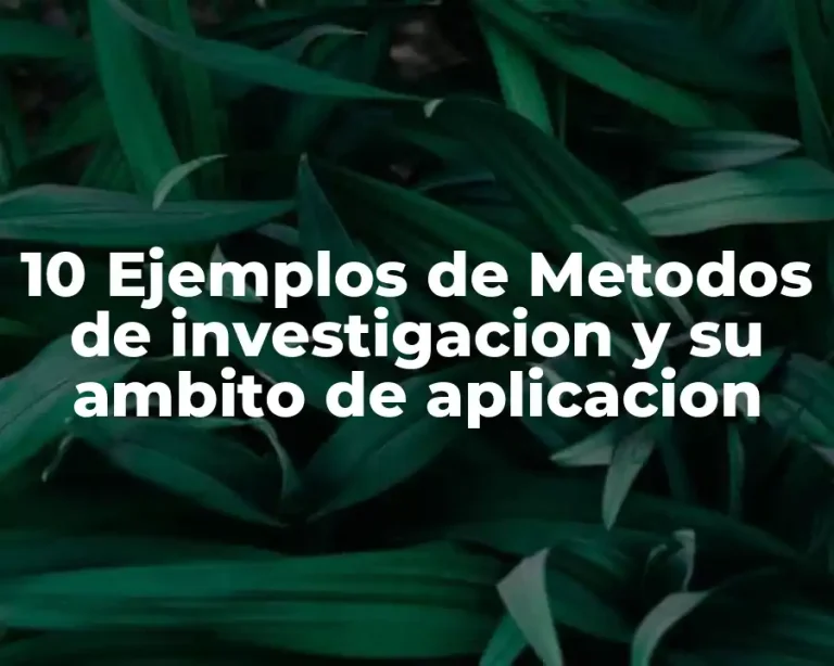 10 Ejemplos de Metodos de investigacion y su ambito de aplicacion