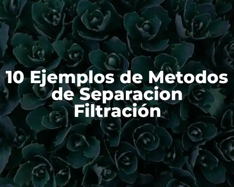 10 Ejemplos de Metodos de Separacion Filtración