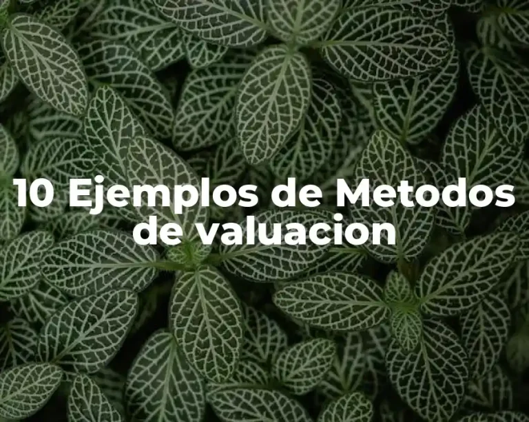 10 Ejemplos de Metodos de valuacion