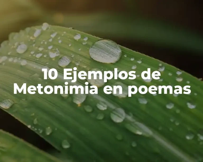 10 Ejemplos de Metonimia en poemas