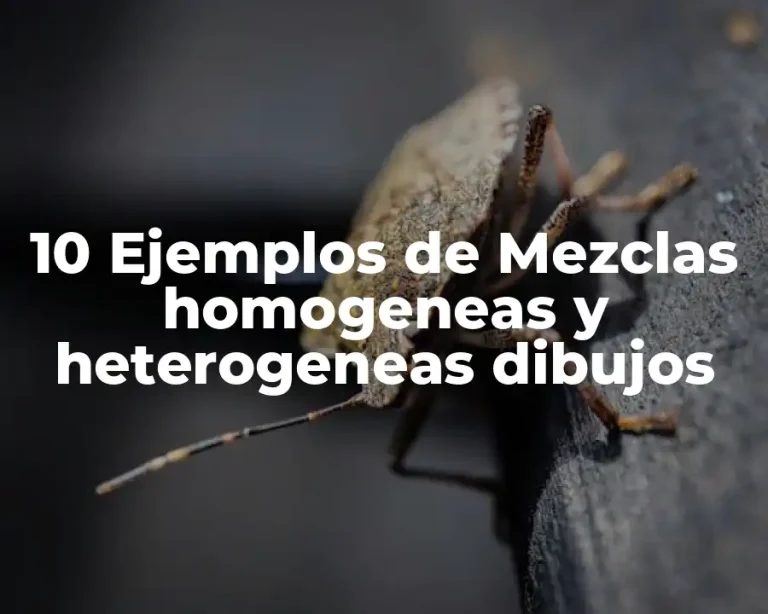 10 Ejemplos de Mezclas homogeneas y heterogeneas dibujos