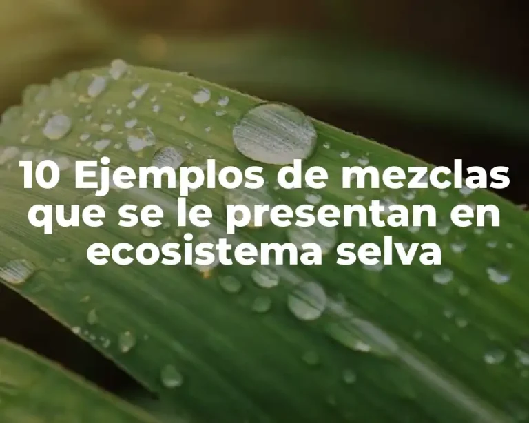 10 Ejemplos de mezclas que se le presentan en ecosistema selva