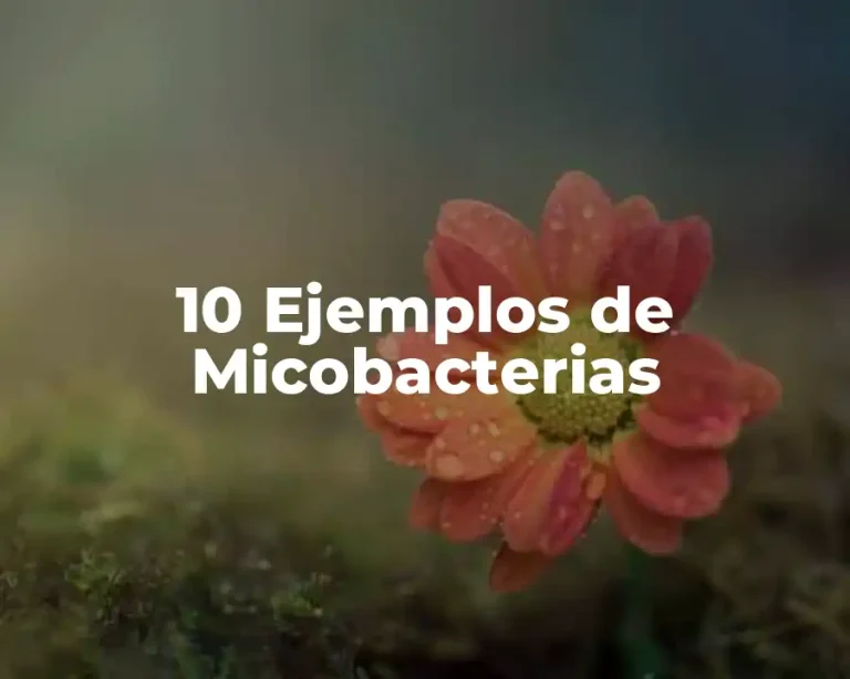 10 Ejemplos de Micobacterias
