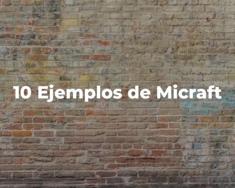 10 Ejemplos de Micraft