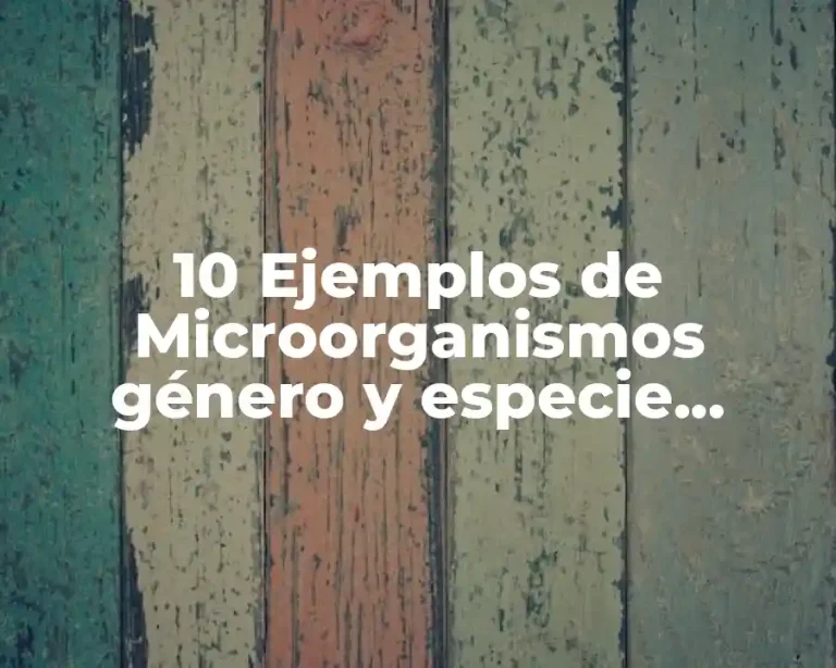 10 Ejemplos de Microorganismos género y especie resistentes a la desecación