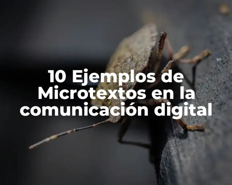 10 Ejemplos de Microtextos en la comunicación digital
