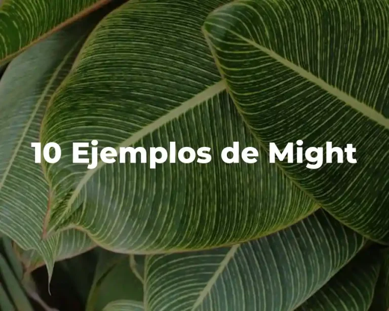10 Ejemplos de Might