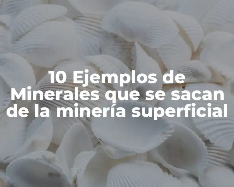 10 Ejemplos de Minerales que se sacan de la minería superficial