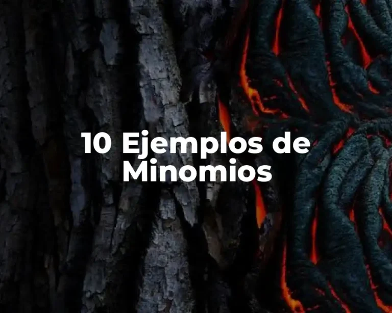 10 Ejemplos de Minomios
