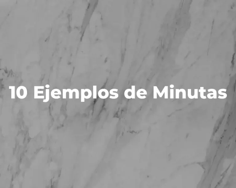 10 Ejemplos de Minutas