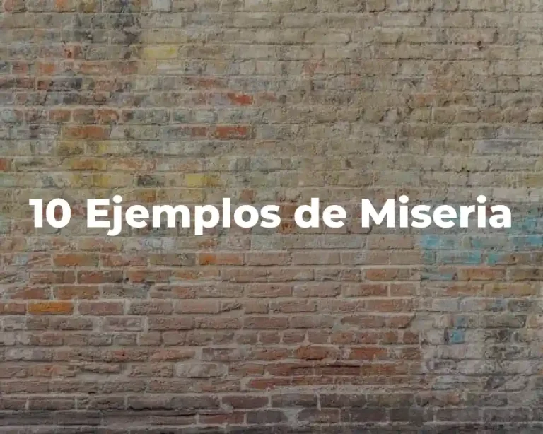 10 Ejemplos de Miseria