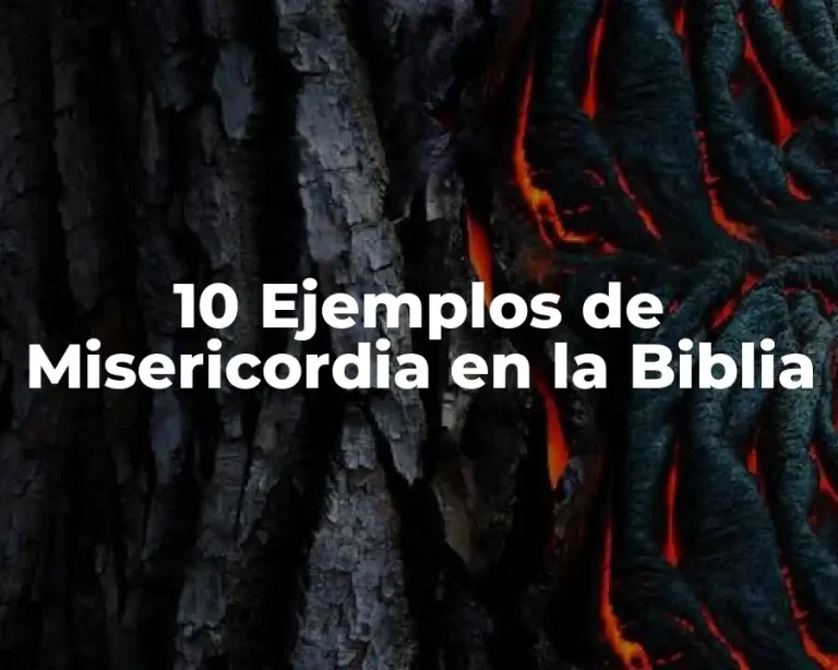 10 Ejemplos de Misericordia en la Biblia