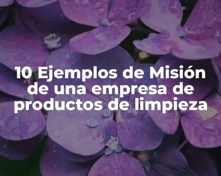 10 Ejemplos de Misión de una empresa de productos de limpieza