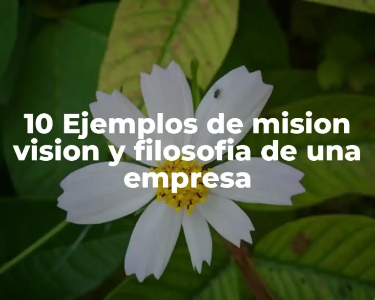 10 Ejemplos de mision vision y filosofia de una empresa