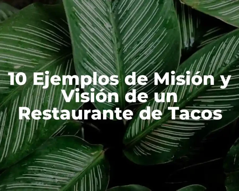 10 Ejemplos de Misión y Visión de un Restaurante de Tacos