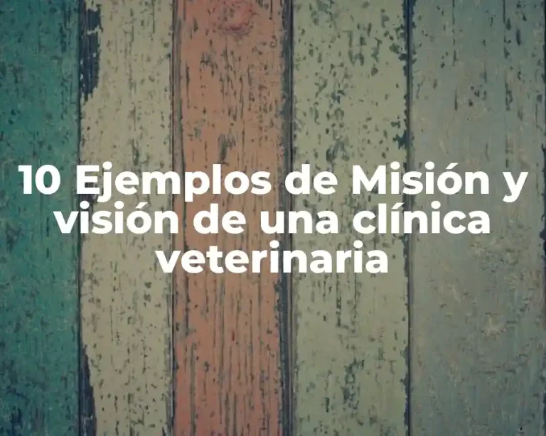 10 Ejemplos de Misión y visión de una clínica veterinaria