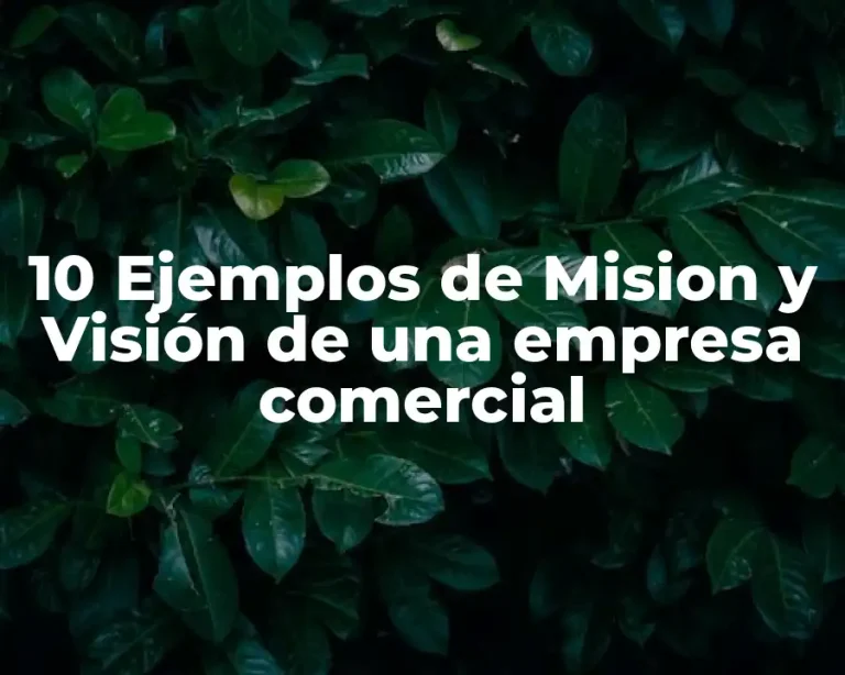 10 Ejemplos de Mision y Visión de una empresa comercial
