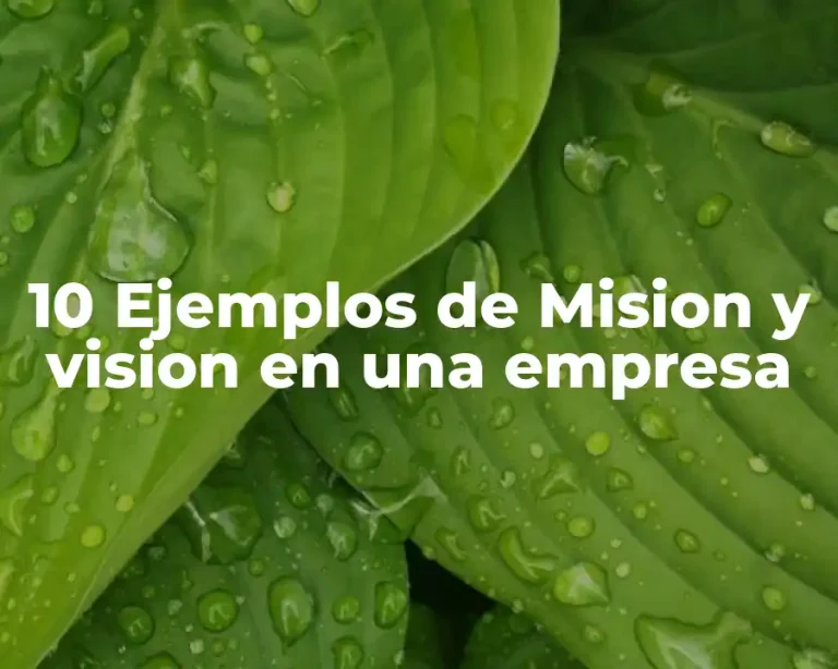 10 Ejemplos de Mision y vision en una empresa