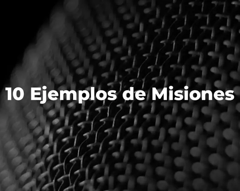 10 Ejemplos de Misiones