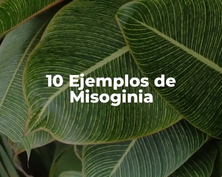 10 Ejemplos de Misoginia