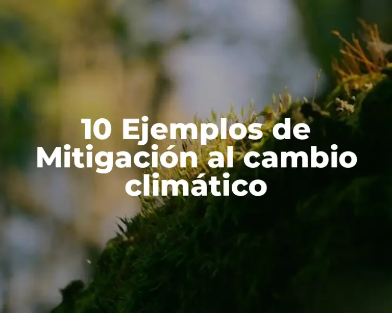 10 Ejemplos de Mitigación al cambio climático