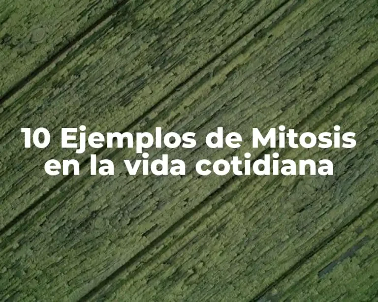 10 Ejemplos de Mitosis en la vida cotidiana