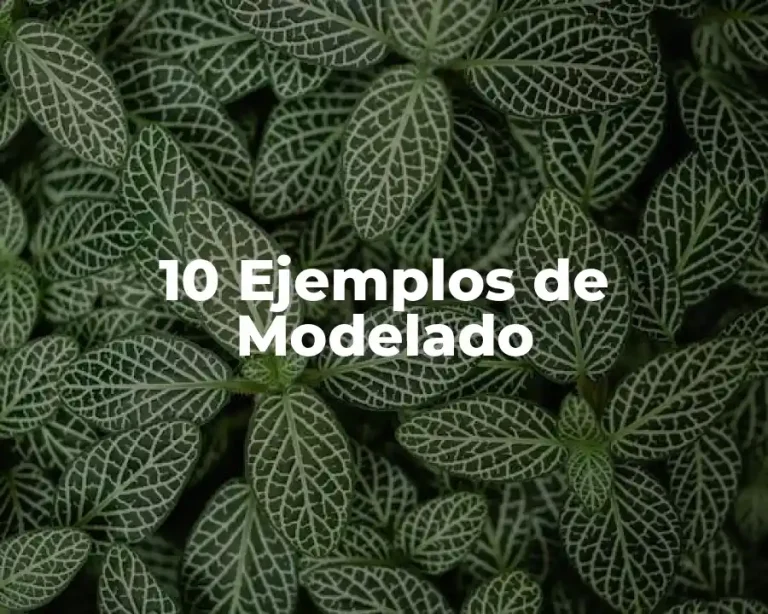 10 Ejemplos de Modelado