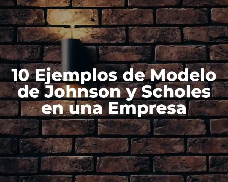 10 Ejemplos de Modelo de Johnson y Scholes en una Empresa