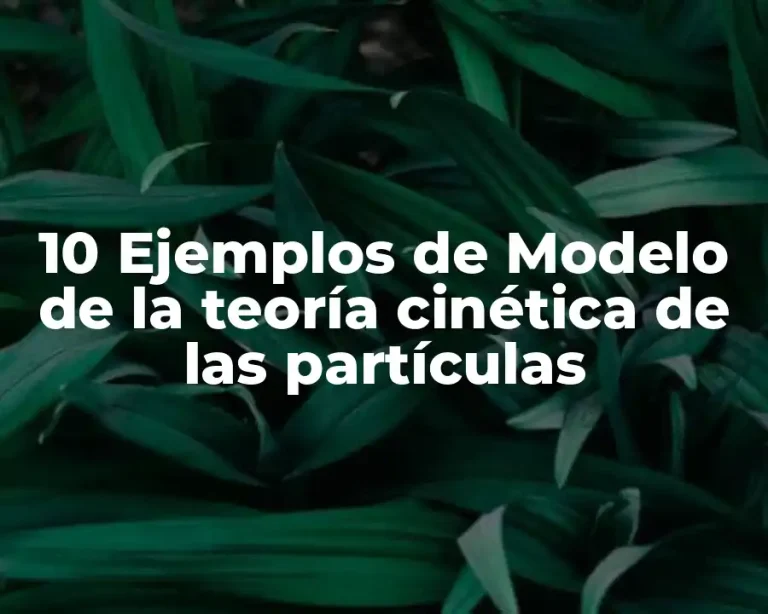 10 Ejemplos de Modelo de la teoría cinética de las partículas