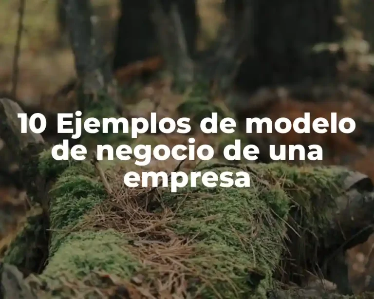 10 Ejemplos de modelo de negocio de una empresa
