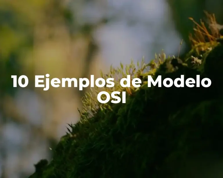 10 Ejemplos de Modelo OSI