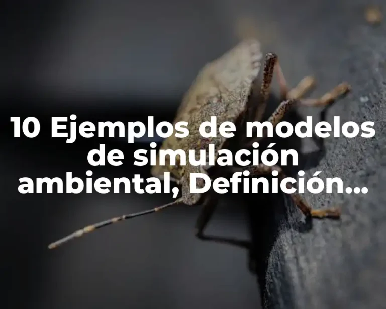 10 Ejemplos de modelos de simulación ambiental, Definición, Diferencias y para que sirve